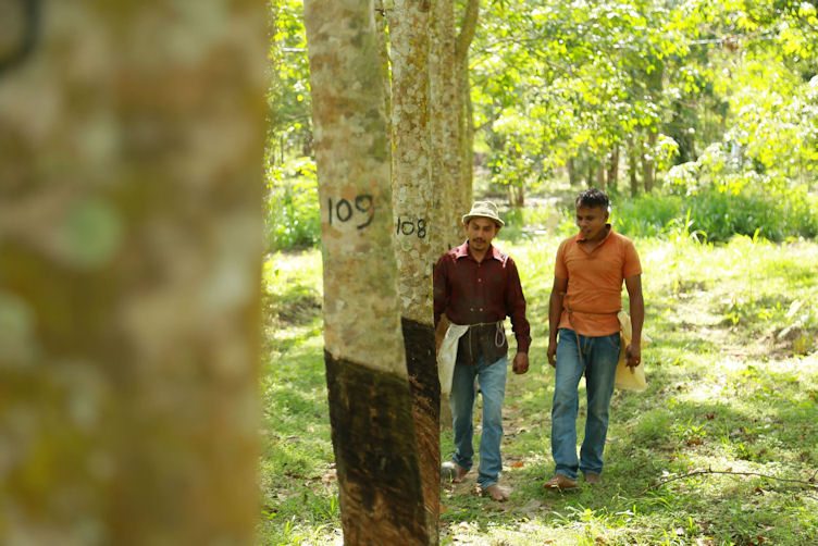 Connections to rubber farmers important, says GRI