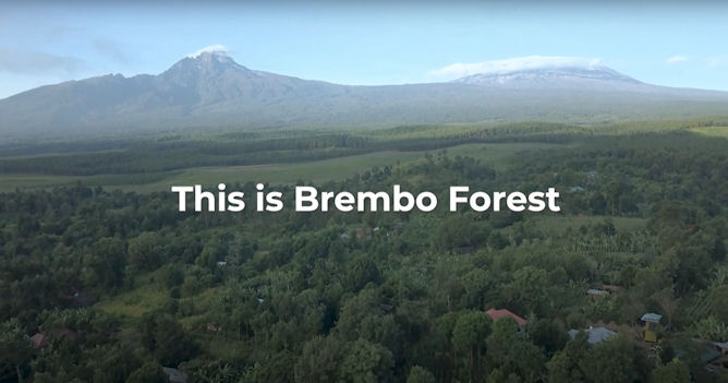 Brembo celebrates 60th anniversary by planting forest