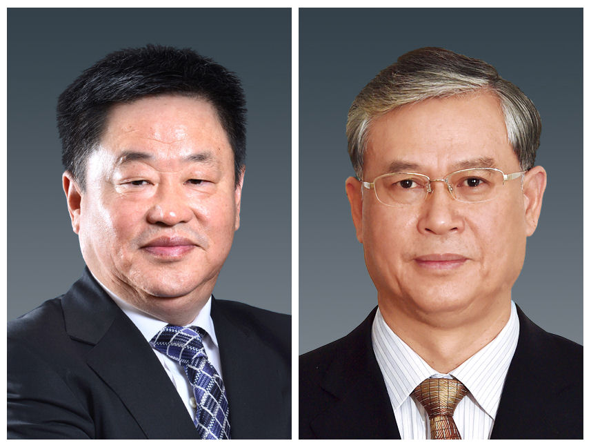Sinochem Holdings appoints new chairman