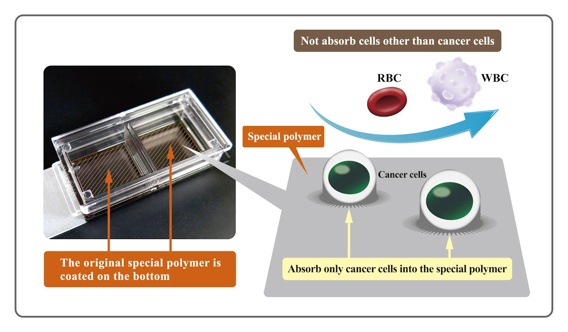 SRI collaborating on innovative cancer therapy project