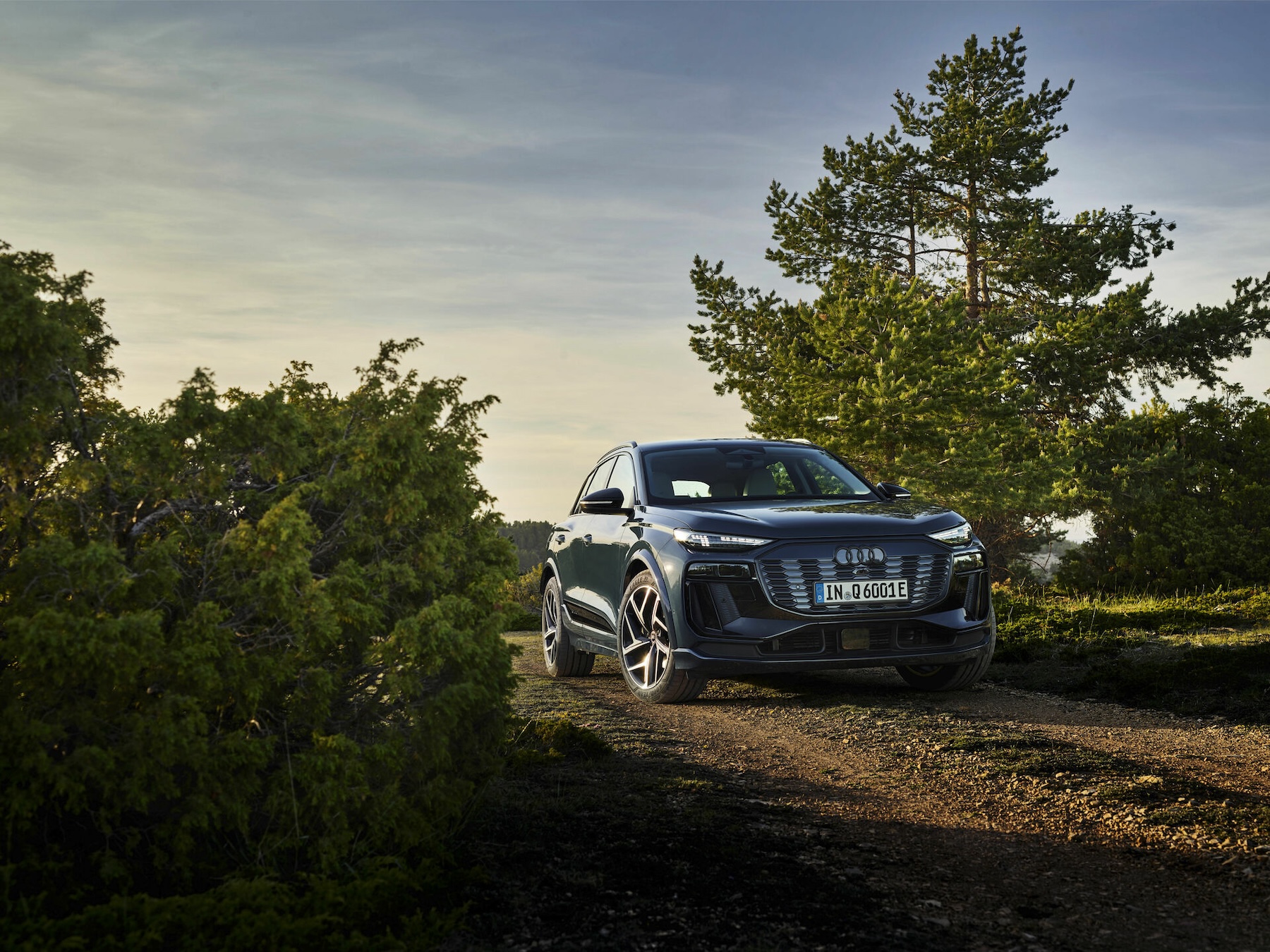 Goodyear OE tyres on Audi Q6 e-tron